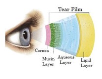 Clermont Family Eyecare: Providing Dry Eye Evaluation Services in Clermont